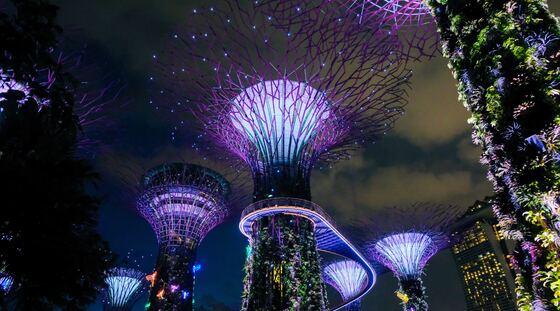 Thumbnail for Singapore at Night